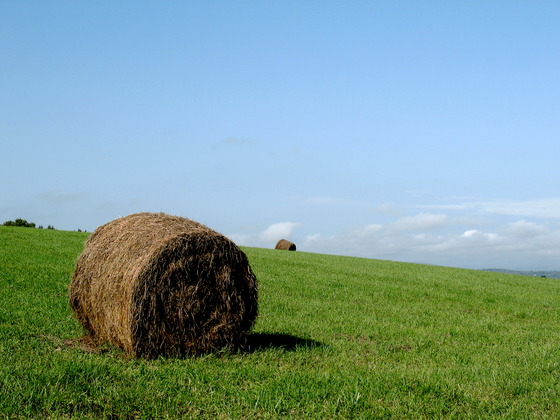 project Builder Images